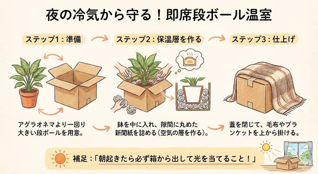 0円で作れる「段ボール温室」の作り方