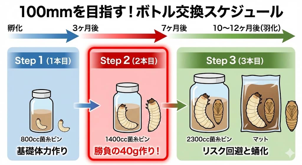3本のボトルリレー・タイムライン