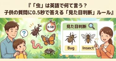 「虫」は英語で何て言う？