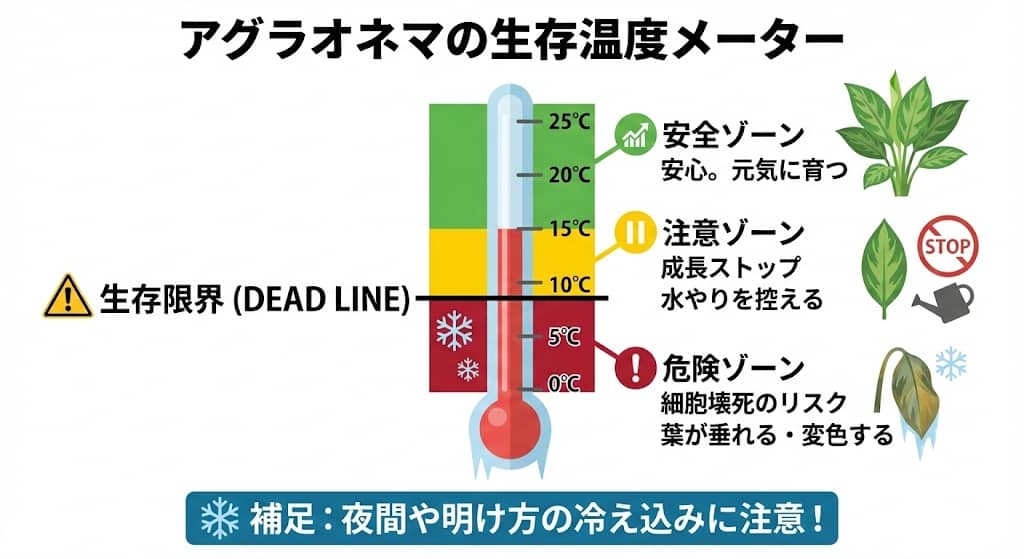アグラオネマの生存温度メーター