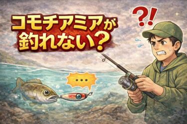 コモチアミアが釣れない？