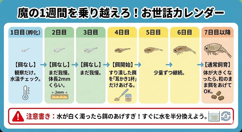 孵化後1週間の「お世話カレンダー」