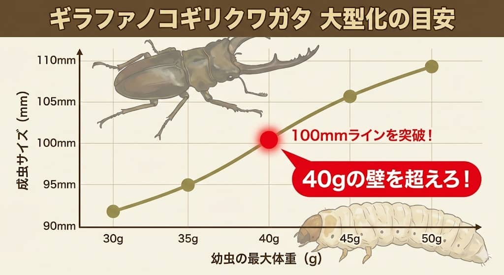 幼虫体重と成虫サイズの相関図