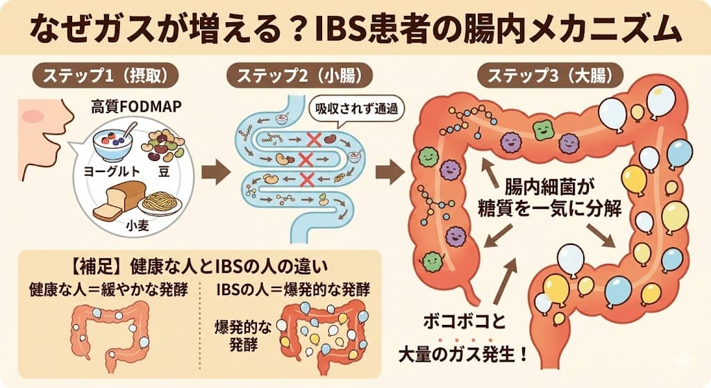 高FODMAP食がガスを発生させるメカニズム図解