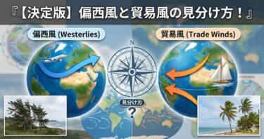 【決定版】偏西風と貿易風の見分け方