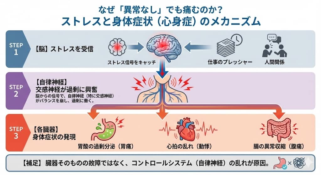 ストレスと身体症状（心身症）のメカニズム