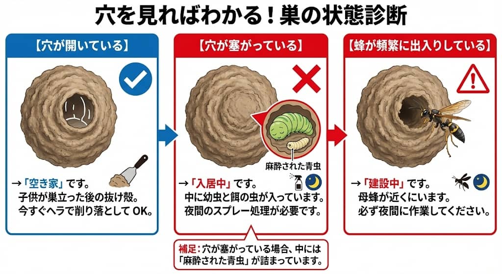 ドロバチの巣の危険度判定フロー