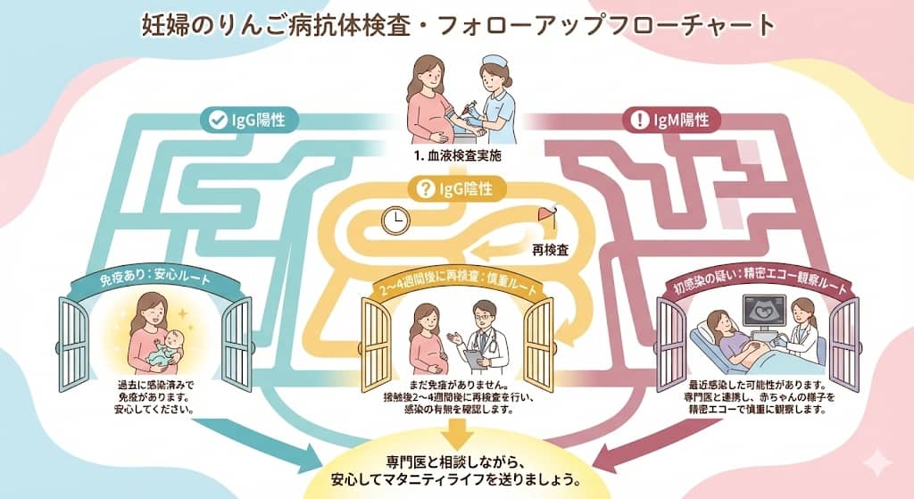 妊婦の抗体検査・フォローアップフロー