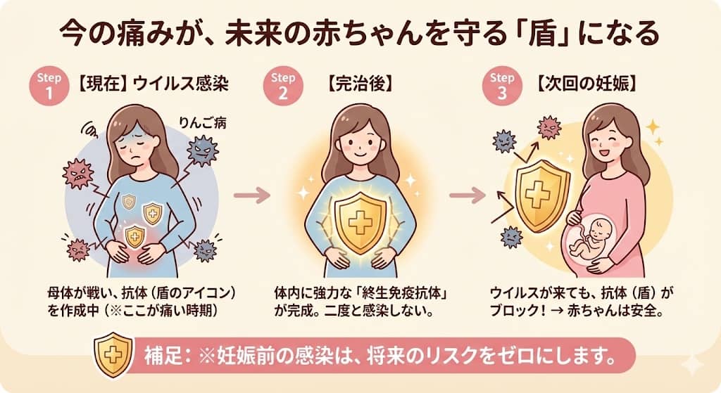 感染による抗体獲得と胎児保護のメカニズム