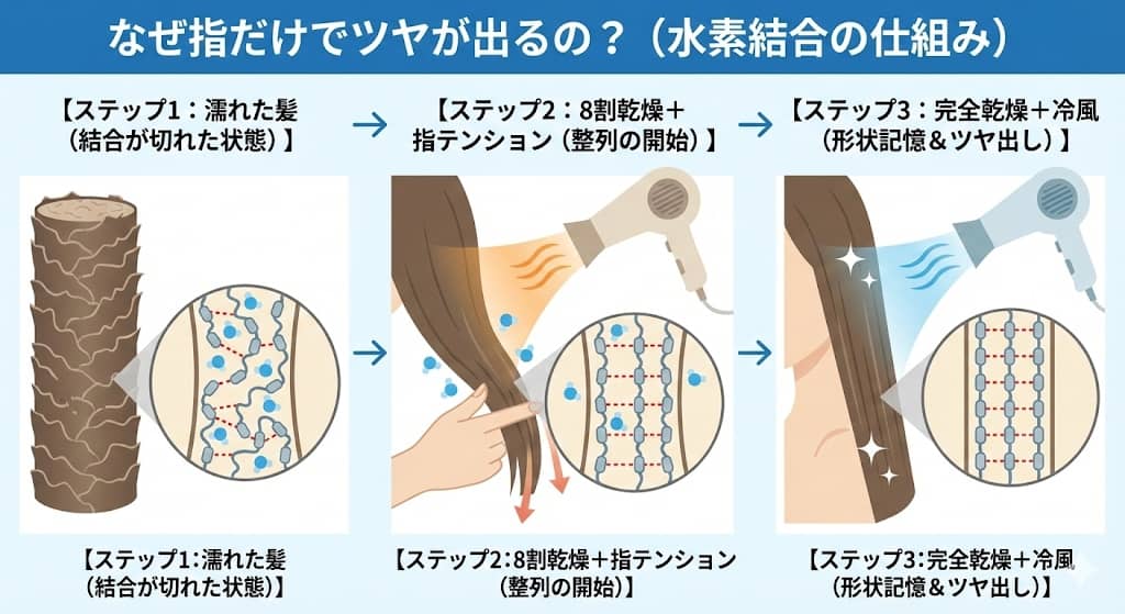 水素結合を利用した「魔法のハンドブロー」メカニズム