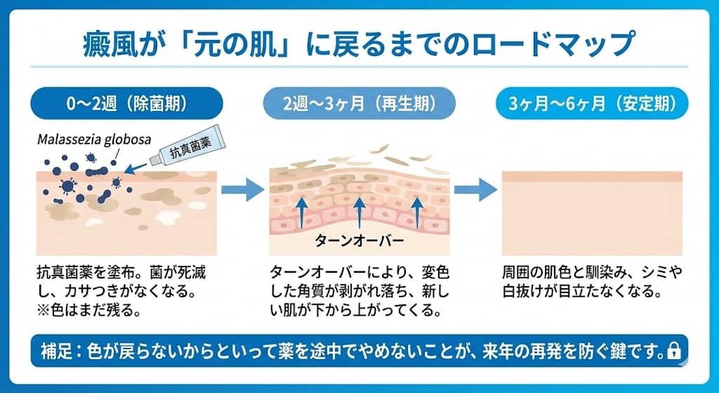 癜風の審美回復タイムライン
