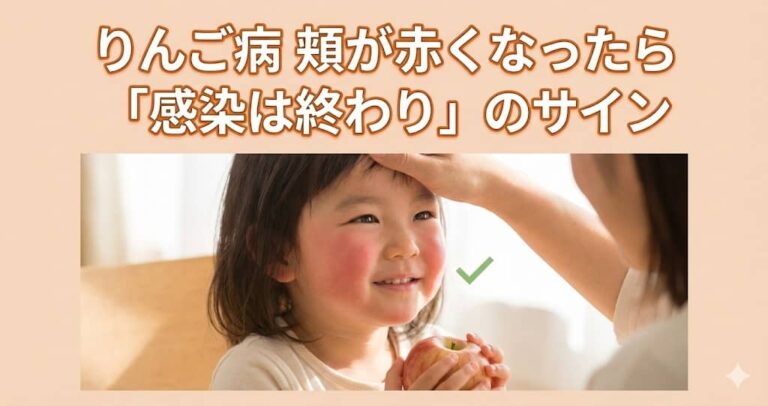 頬が赤くなったら「感染は終わり」のサイン
