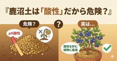 鹿沼土は「酸性」だから危険？