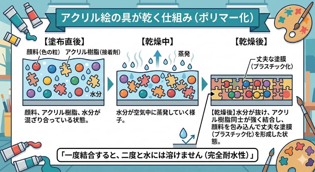 アクリル絵の具の成分と乾燥メカニズム