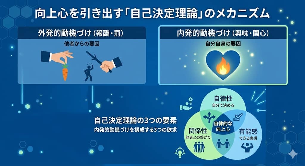 外発的動機づけと内発的動機づけの対比、および自己決定理論の3要素