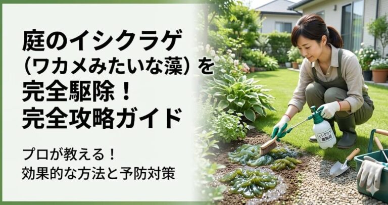 庭のイシクラゲ（ワカメみたいな藻）を完全駆除！
