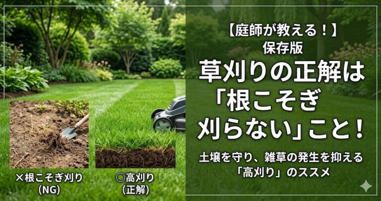 草刈りの正解は「根こそぎ刈らない」こと。