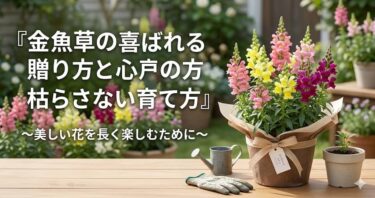 金魚草の喜ばれる贈り方と枯らさない育て方