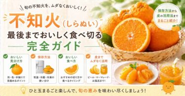 「不知火（しらぬい）」最後までおいしく食べ切る完全ガイド