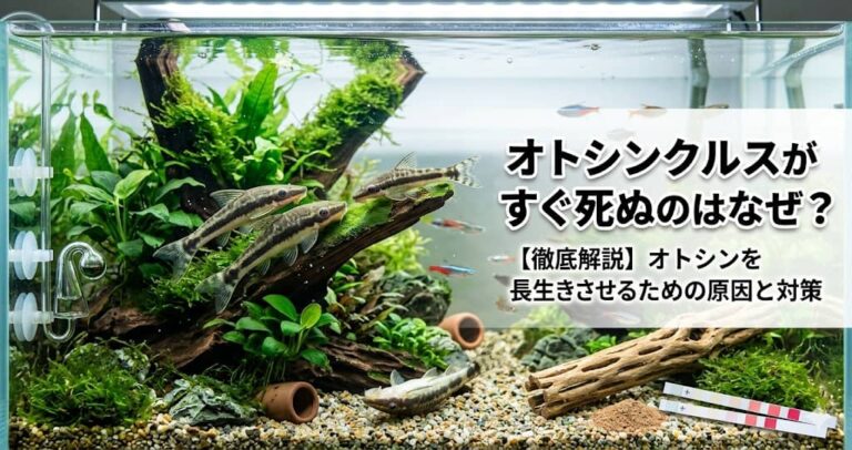 オトシンクルスがすぐ死ぬのはなぜ？