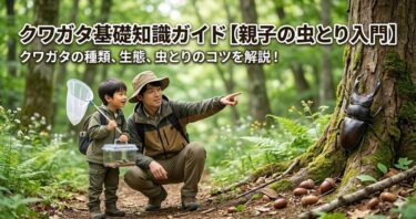 クワガタ基礎知識ガイド【親子の虫とり入門】