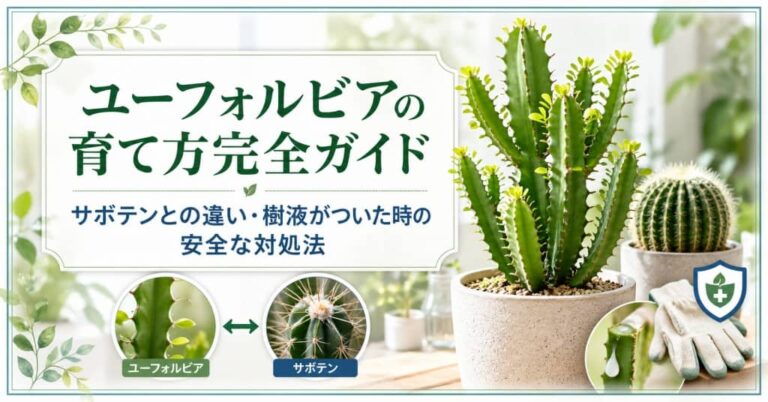 セルライトは本当に消せる？正しい正体と、無理なく続ける改善ルートをやさしく解説