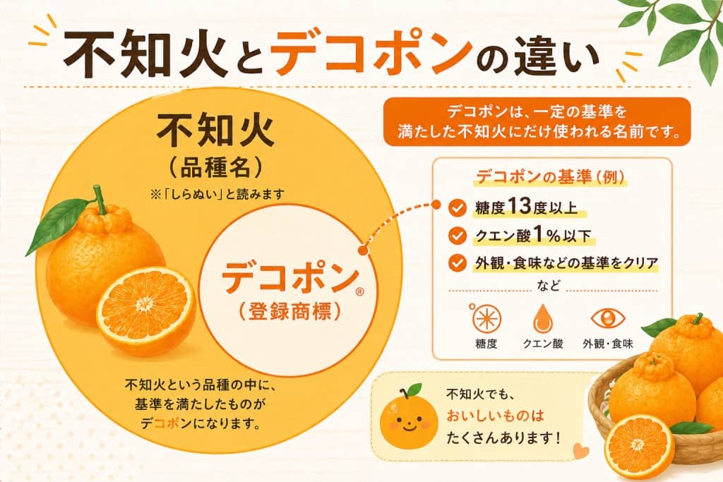 不知火とデコポンの関係性を示す図