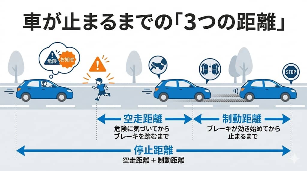 停止距離・空走距離・制動距離の関係図