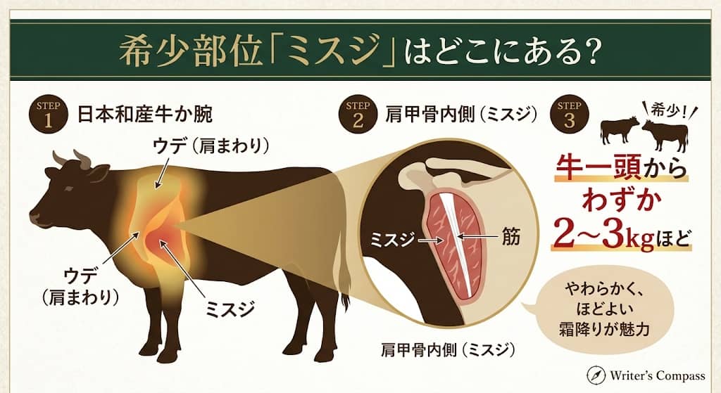 牛の部位におけるミスジの位置と希少性
