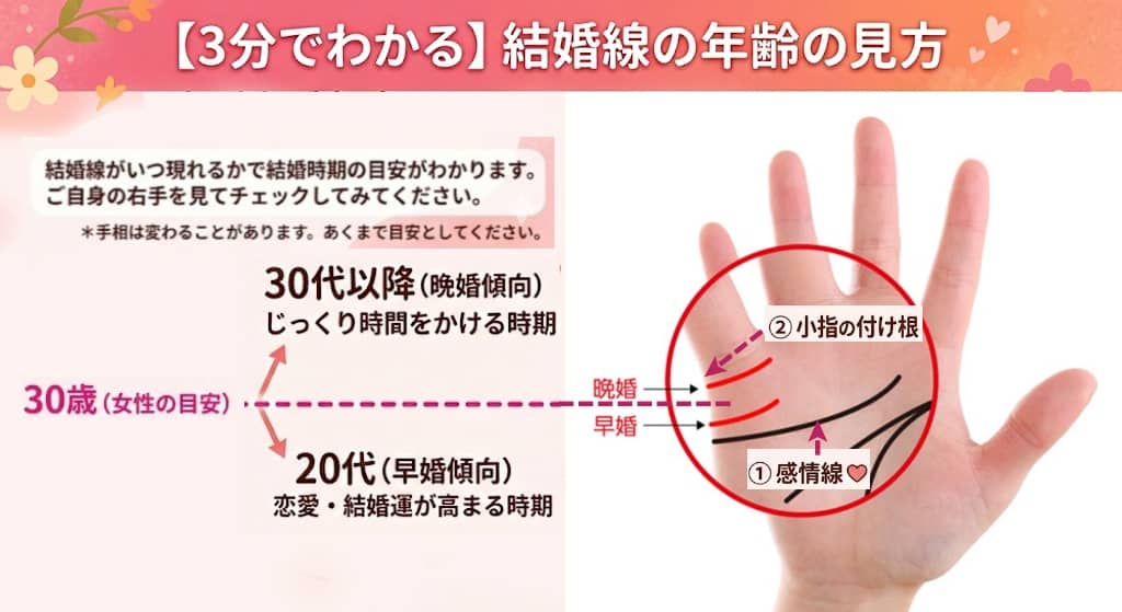 結婚線の流年法（年齢の見方）図解