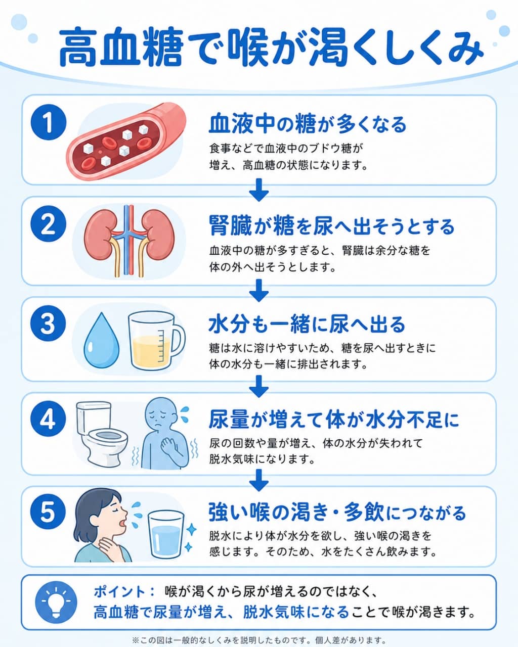 糖尿病による喉の渇きと多尿のメカニズム