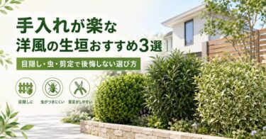 手入れが楽な洋風の生垣おすすめ3選｜目隠し・虫・剪定で後悔しない選び方