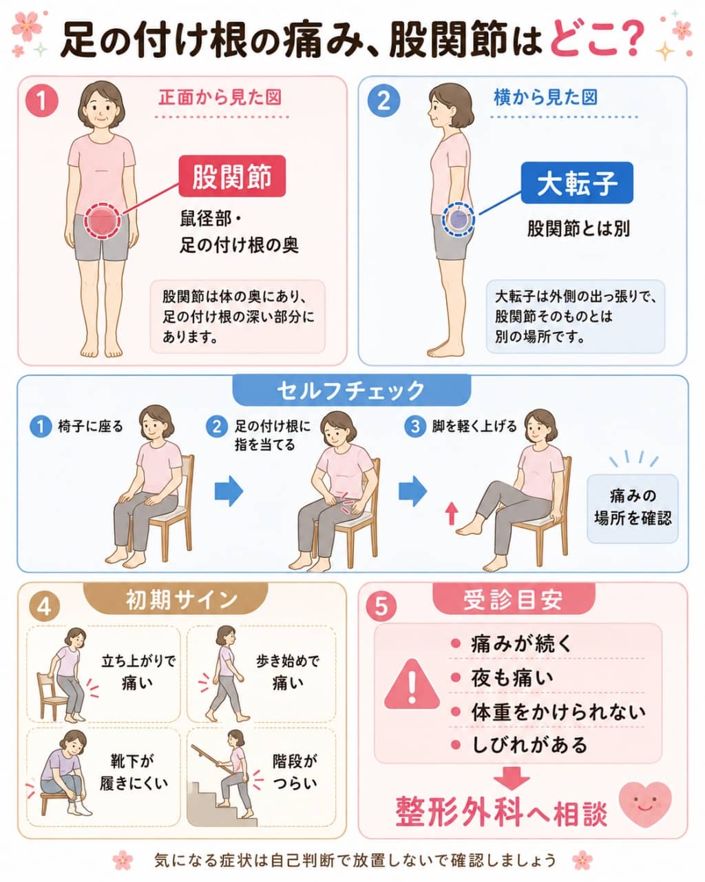 股関節の正しい位置と受診目安の図解