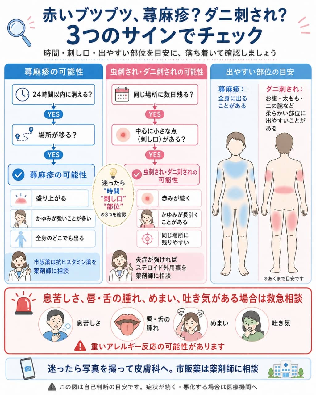 蕁麻疹とダニ刺されの見分け方フローチャート