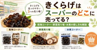 きくらげはスーパーのどこに売ってる？乾物コーナー、生きくらげ、水煮の売り場と選び方を解説。