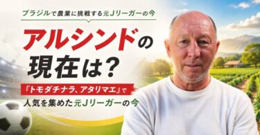 アルシンドの現在とJリーグ時代を振り返る図解
