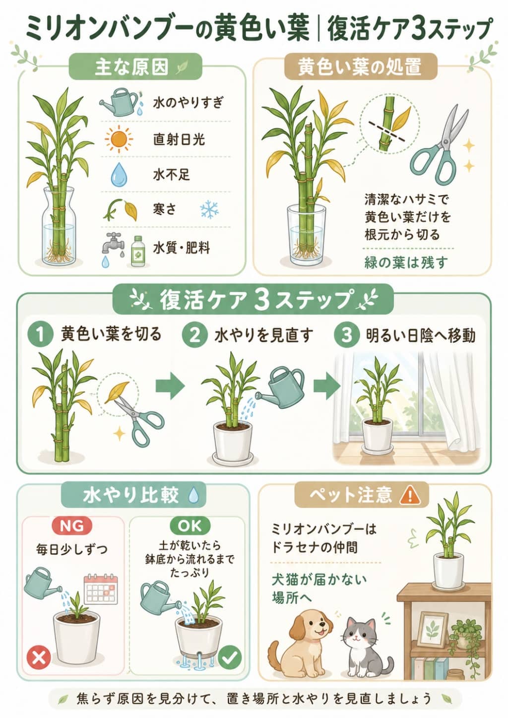 ミリオンバンブーの葉が黄色い時の原因と復活ケア