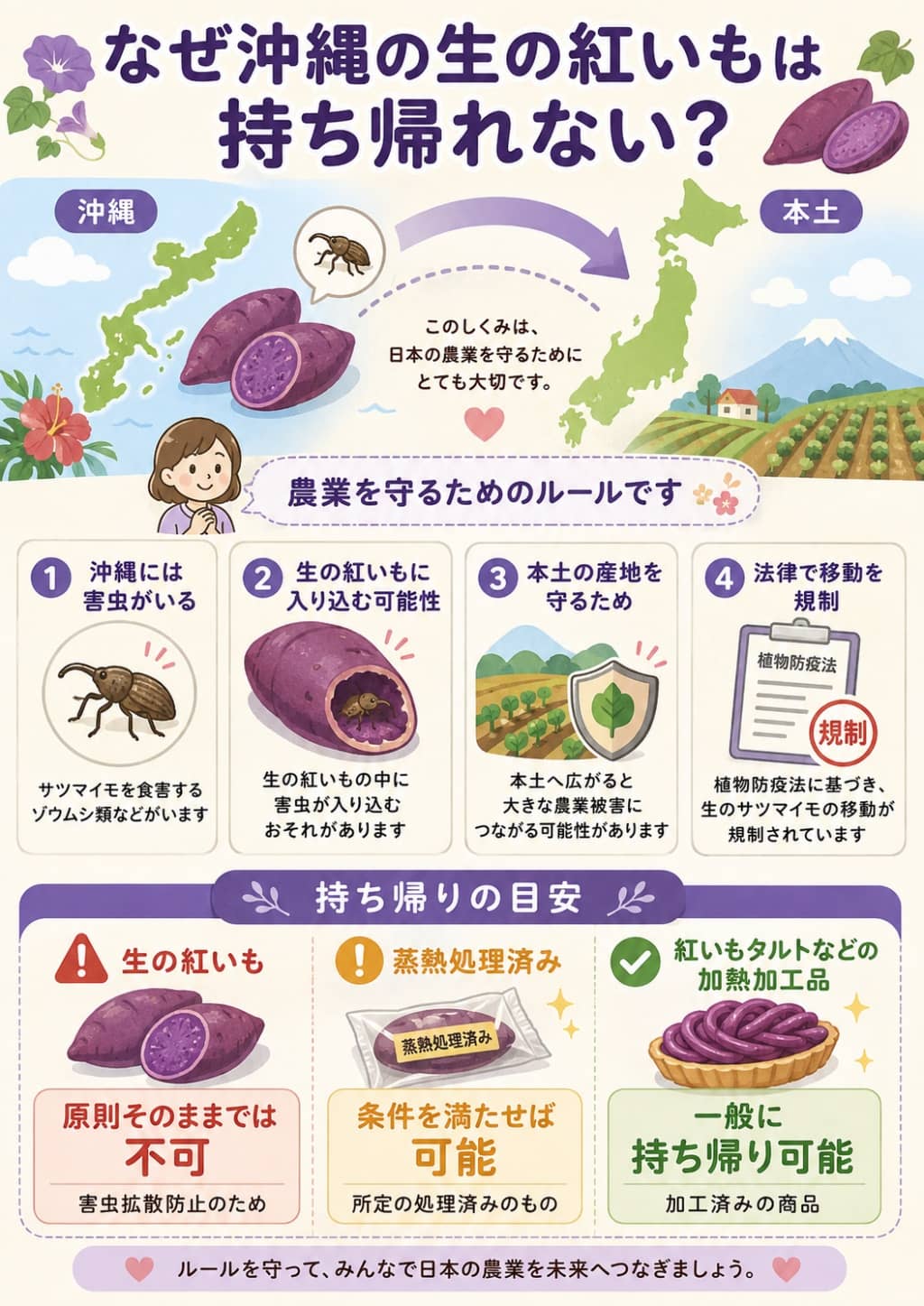 なぜ沖縄の生の紅いもは持ち帰れない？