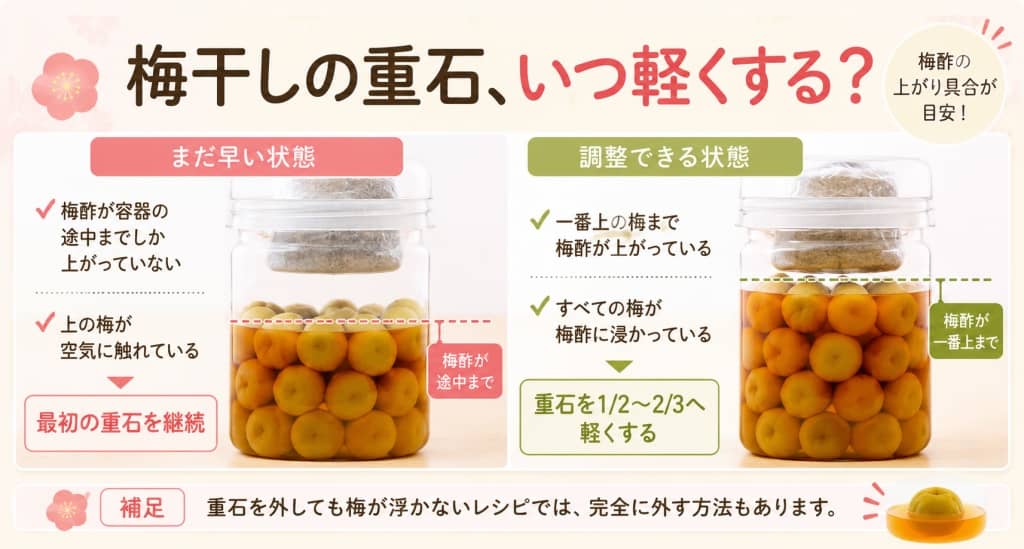 梅干しの重石、いつ軽くする？