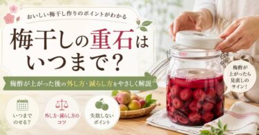 梅干しの重石はいつまで？梅酢が上がった後の外し方・減らし方をやさしく解説