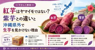 紅芋はヤマイモではない？紫芋との違いと沖縄県外で生芋を見かけない理由