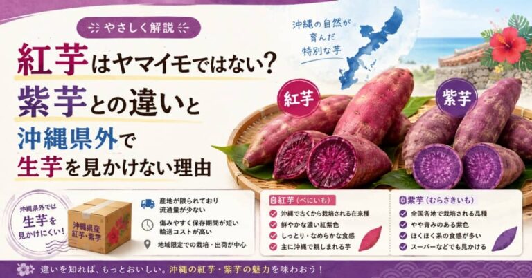 紅芋はヤマイモではない？紫芋との違いと沖縄県外で生芋を見かけない理由