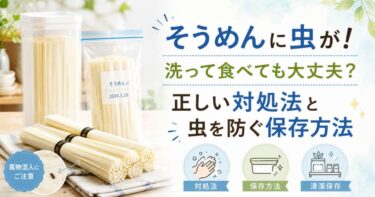 そうめんに虫が！洗って食べても大丈夫？正しい対処法と虫を防ぐ保存方法