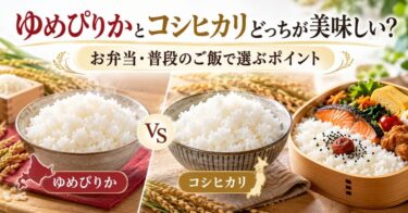 ゆめぴりかとコシヒカリどっちが美味しい？お弁当・普段のご飯で選ぶポイント